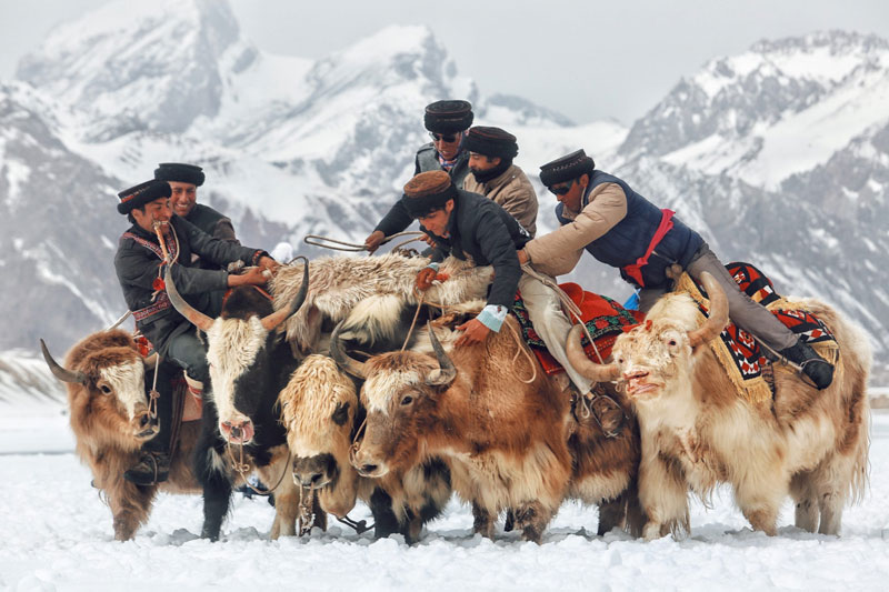 塔吉克族男人骑牦牛刁羊